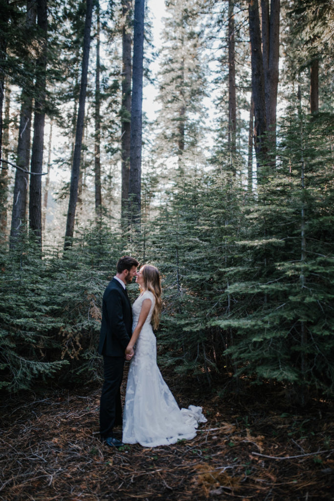 bride and groom holding hands in the thick forest wedding venue. Smoky Mountains forest with tall trees and light shining in through the trees