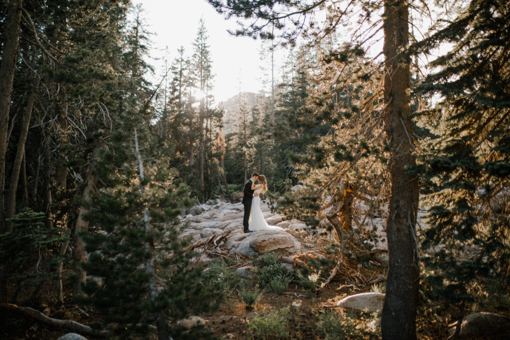 bride and groom kissing the middle of the forest wedding in the Smoky Mountains