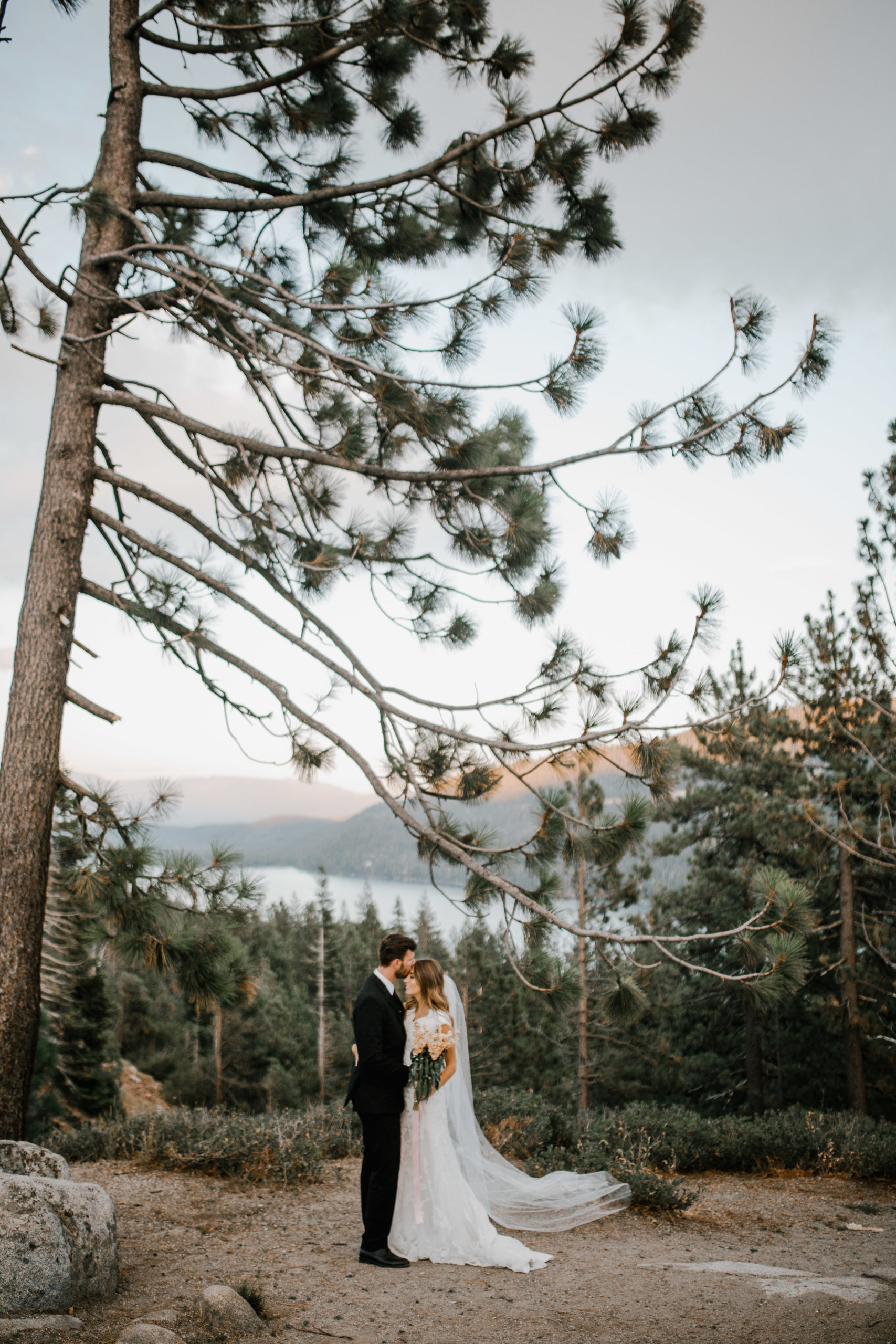 Sacramento wedding photographer captures adventure wedding with bride and groom standing under a tree