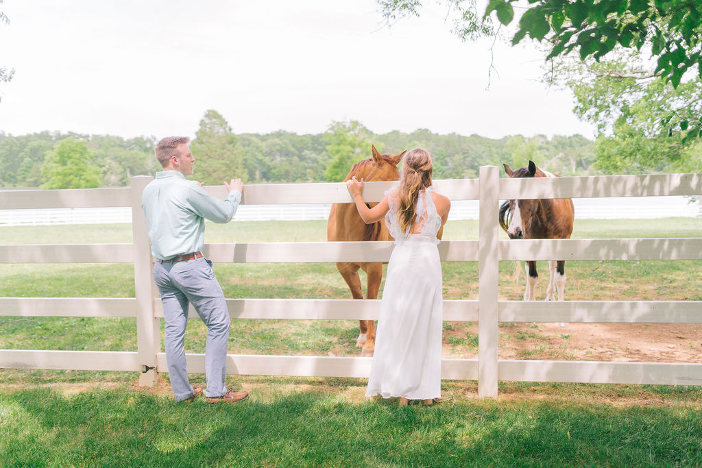 bride and groom meeting horses at Marblegate Farm in the summer. This is a Knoxville Tennessee Wedding.