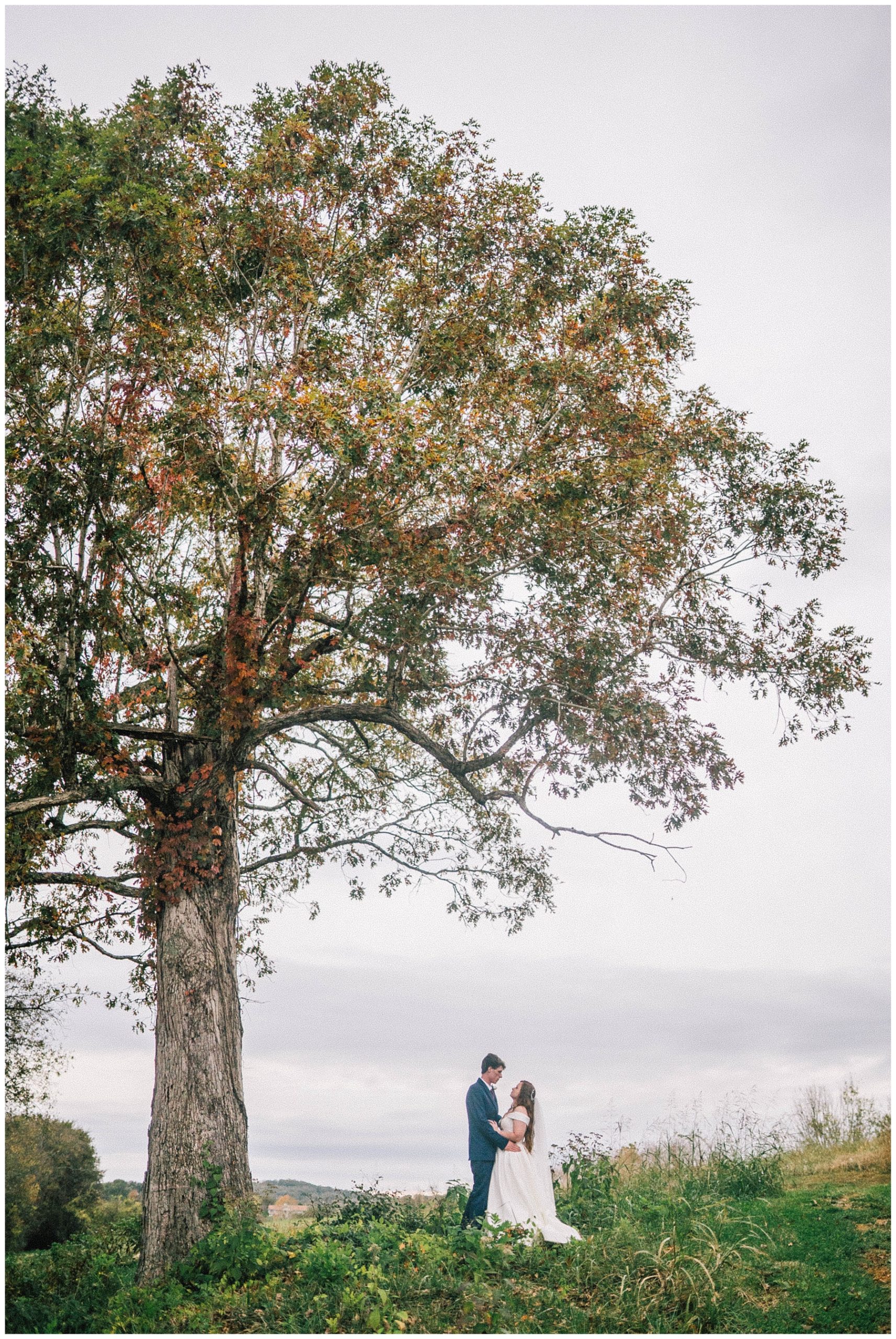bride and groom kissing under beautiful tree during tennessee wedding