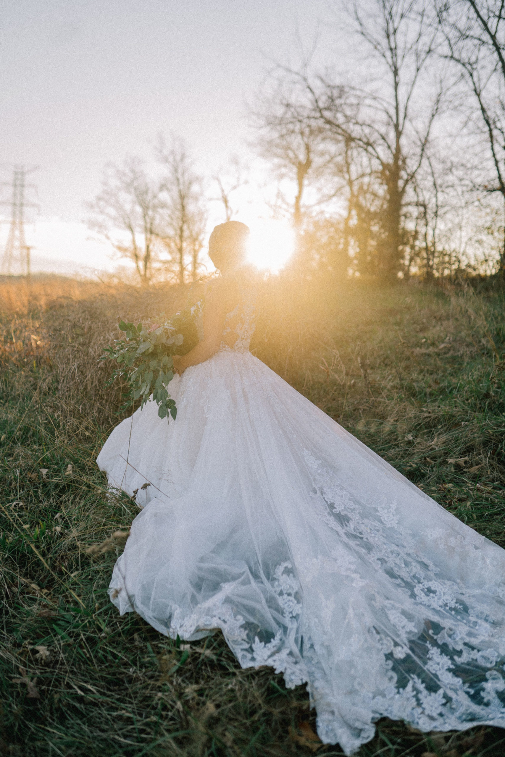 lace ballgown wedding dress in a backyard wedding in Nashville Tennessee