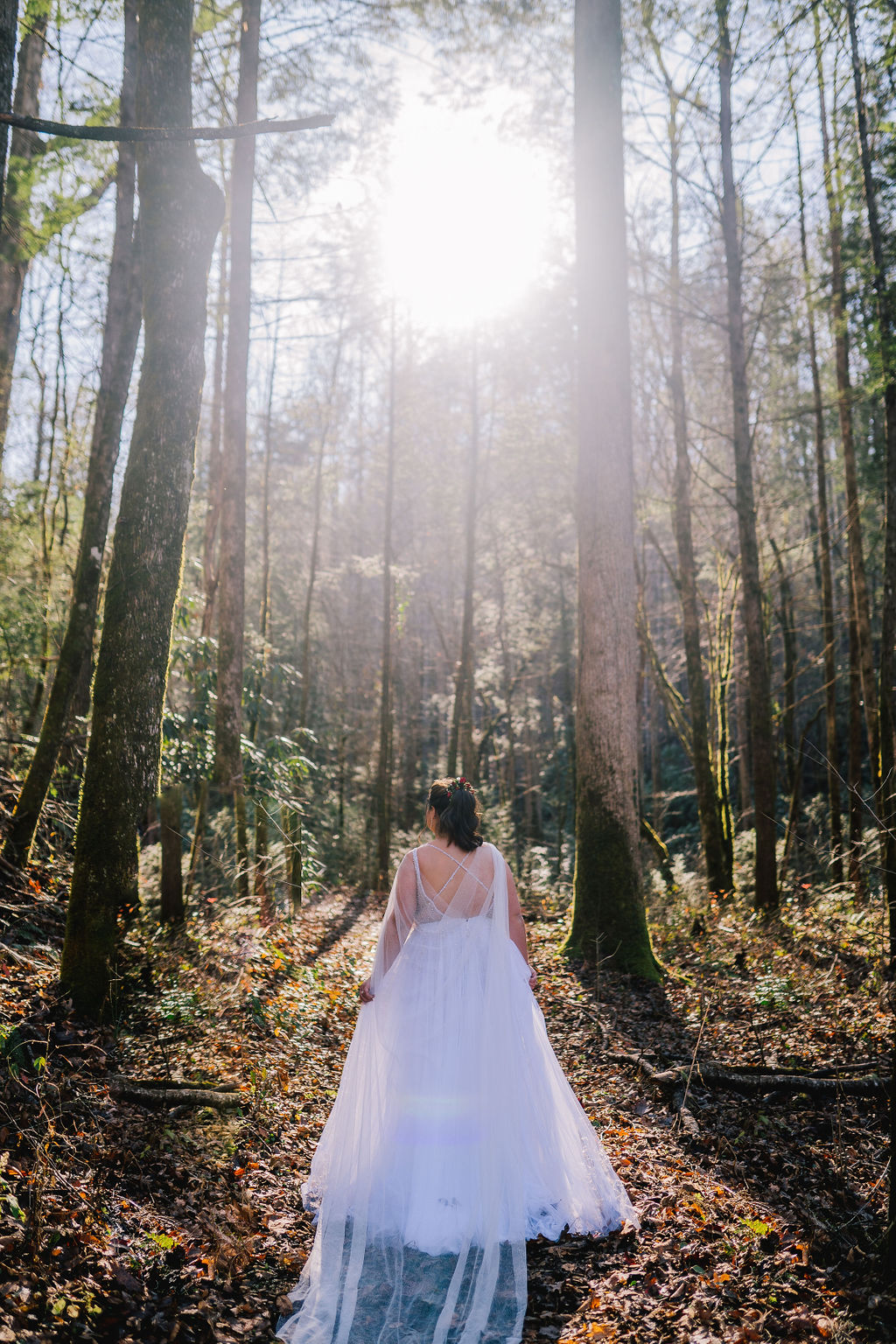 Smoky Mountain wedding photographer captures a bride walking into the woods as the sun gleams through the tall tree