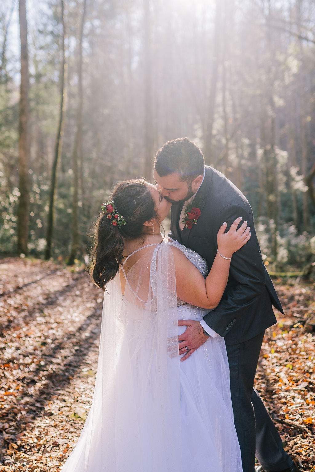 smoky mountain wedding photographer captures bride and groom kissing passionately in the woods as the sun shines down on them